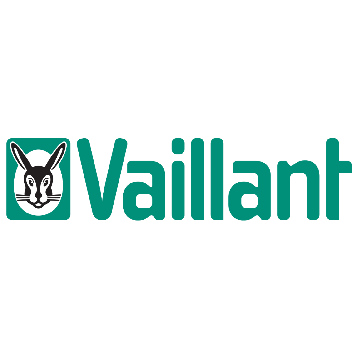 Vaillant Thermentausch Wien